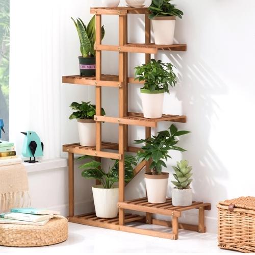 Garden plant holder